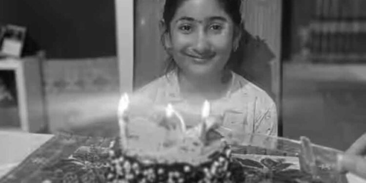 Kek Hari Jadi Berhias Bunga Baby Breath Beracun?