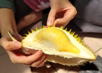 Netizen Terhibur Awie Makan Durian Pakai Sudu, Kena Bahan Dengan Roy Azman