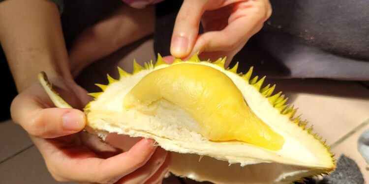 Netizen Terhibur Awie Makan Durian Pakai Sudu, Kena Bahan Dengan Roy Azman