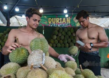 Abang Sado Tarikan Utama Gerai Durian Papa Muda