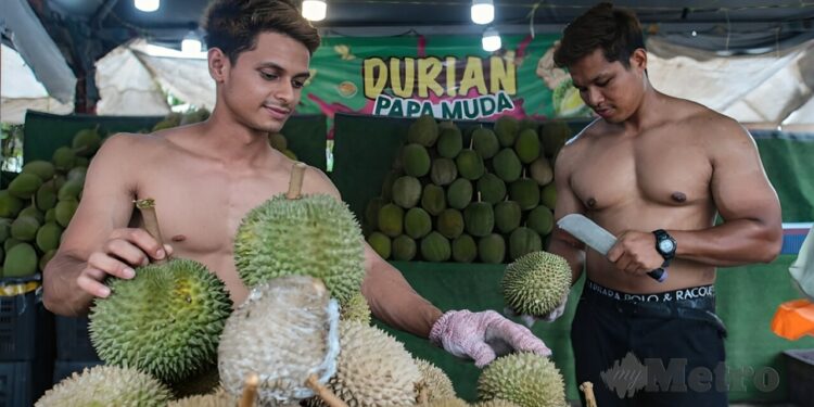 Abang Sado Tarikan Utama Gerai Durian Papa Muda