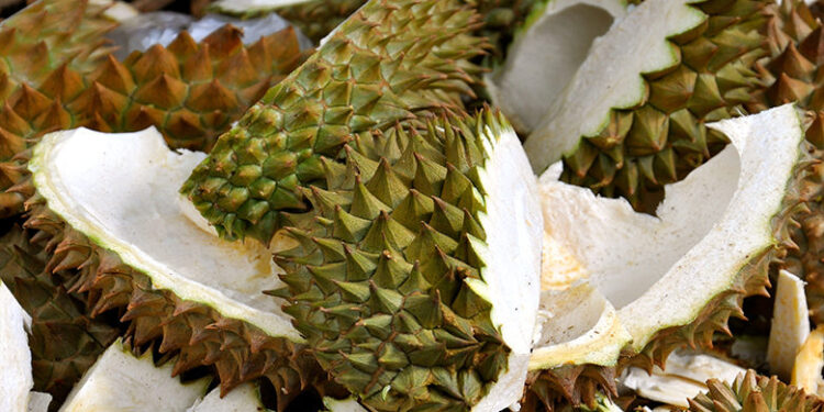 TikToker Makan Kulit Durian Celup Dengan Sambal, Ramai Terkejut!