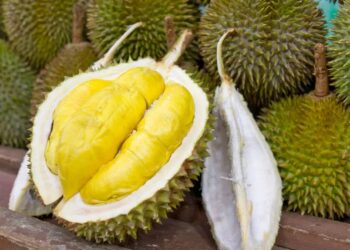 Kenapa Harga Durian Mahal? Ini Sebabnya!