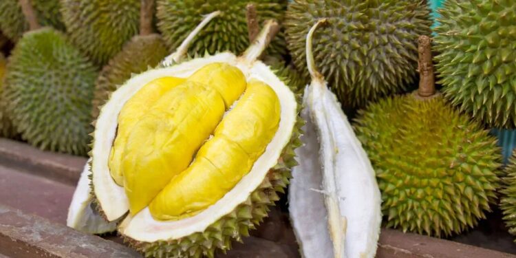 Kenapa Harga Durian Mahal? Ini Sebabnya!