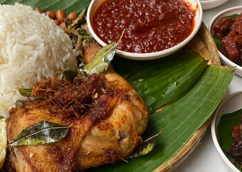 Peniaga Nasi Lemak Bujang RM10 Dikecam Netizen, Berbaloikah Dengan Harga?