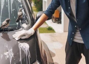 Bahaya Tahi Burung Pada Kereta: Jangan Biarkan Terlalu Lama!