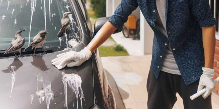 Bahaya Tahi Burung Pada Kereta: Jangan Biarkan Terlalu Lama!