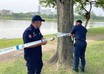Panik Di Shah Alam: Buaya Sesat Muncul Di Tasik, Perhilitan Pasang Perangkap