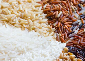 Beras untuk Kencing Manis: Pilihan Terbaik untuk Gula Darah Stabil