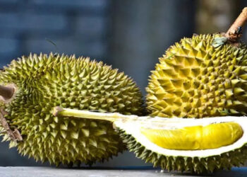 Musang King Jadi Punca Penipuan Besar? Syarikat China Rugi RM2.6 Juta!