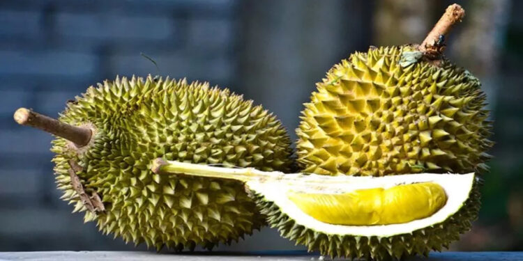 Musang King Jadi Punca Penipuan Besar? Syarikat China Rugi RM2.6 Juta!