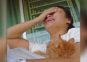 Netizen Turut Bersedih Bersama Nabila Huda, Terutamanya Pencinta Kucing