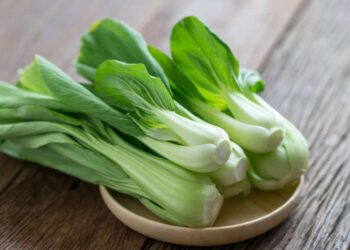 5 Kebaikan Sayur Sawi Untuk Tubuh Anda