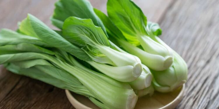5 Kebaikan Sayur Sawi Untuk Tubuh Anda