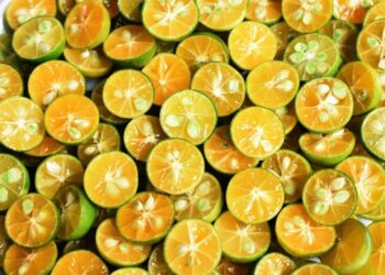 10 Khasiat Limau Kasturi: Rahsia Kesihatan yang Terpendam