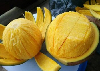 Khasiat Buah Bambangan