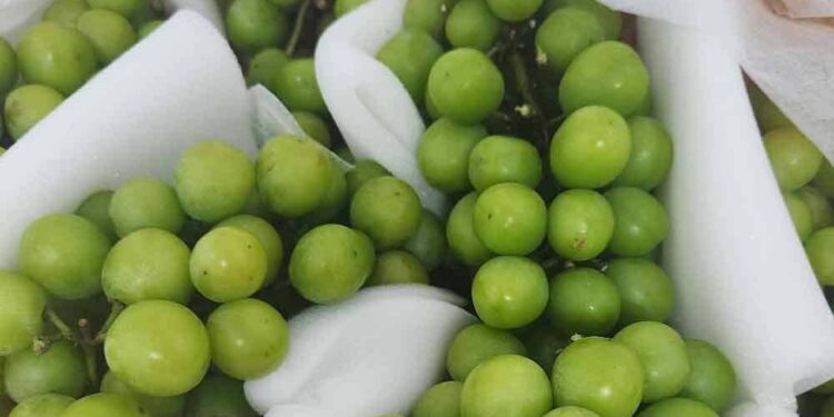 Anggur Muscat: KKM Sahkan Selamat Untuk Dimakan