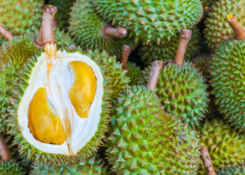 Lambakan Durian: Pusat Pengumpulan Durian di Tangkak, George Town